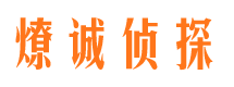 讷河市场调查